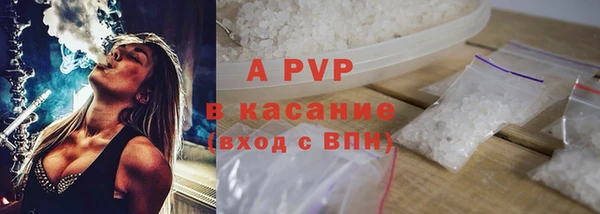дмт Нея