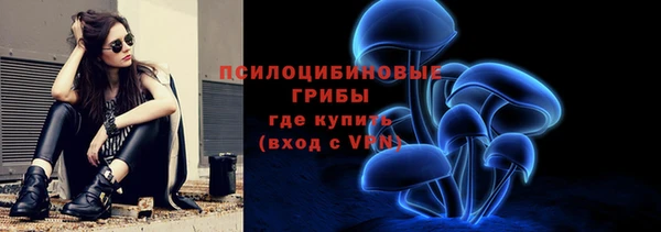 дмт Нея
