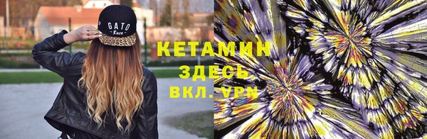 дмт Нея