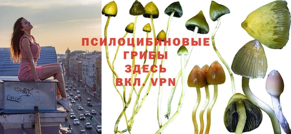 дмт Нея
