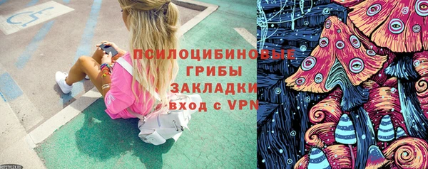ПСИЛОЦИБИНОВЫЕ ГРИБЫ Навашино
