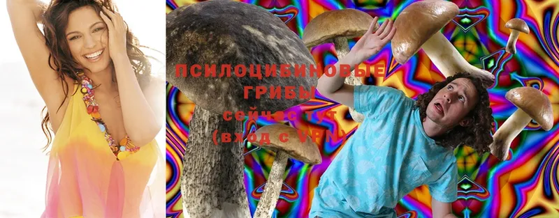 Галлюциногенные грибы MAGIC MUSHROOMS  где продают   Берёзовка 