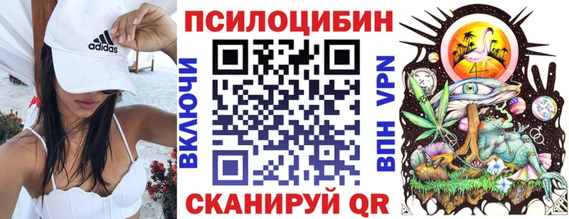 Псилоцибиновые грибы Cubensis  Берёзовка 